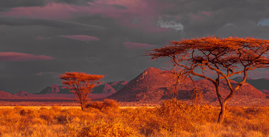 les paysages du Kenya en infrarouge