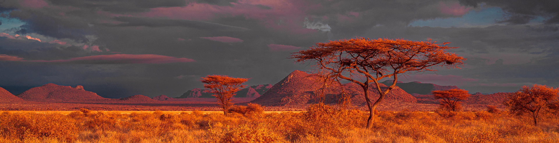 les paysages du Kenya en infrarouge