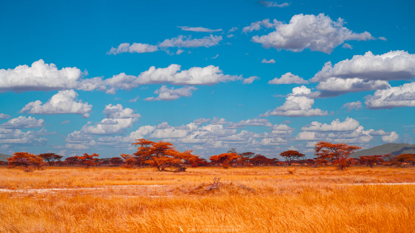 paysage de Samburu en IR chrome